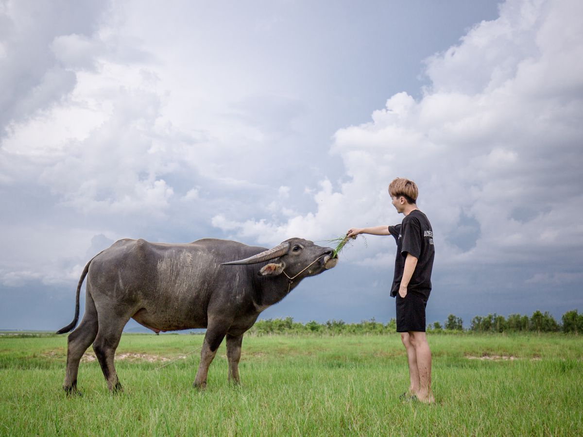 Relax amidst the natural space of Dao Nhim Tay Ninh. 