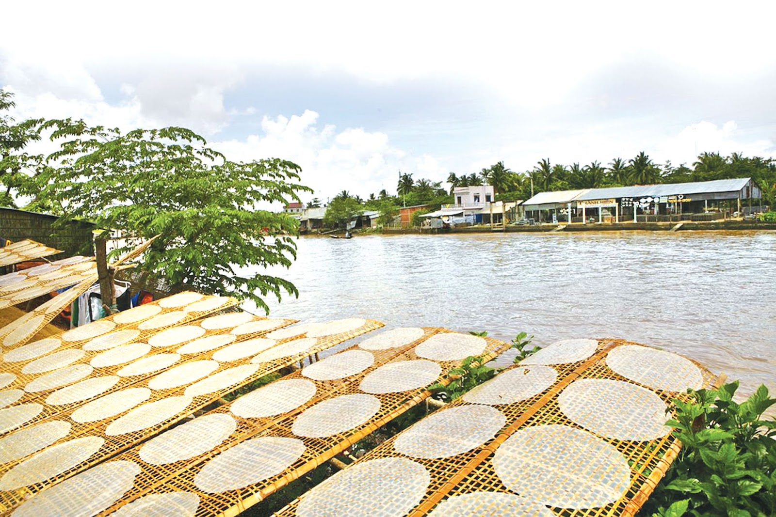 Bánh tráng được khởi xướng từ vùng đất Trảng Bàng.