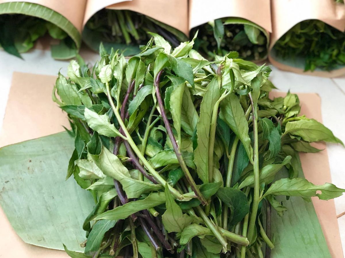 The rainy season is when many types of fresh Tay Ninh forest vegetables are available.