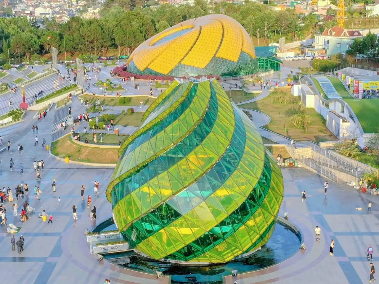 Biểu tượng hoa dã quỳ và atiso nổi tiếng của Đà Lạt. 