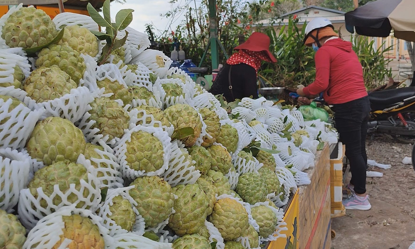 Mãng cầu Bà Đen luôn là thức quả được nhiều người tìm mua nhất.