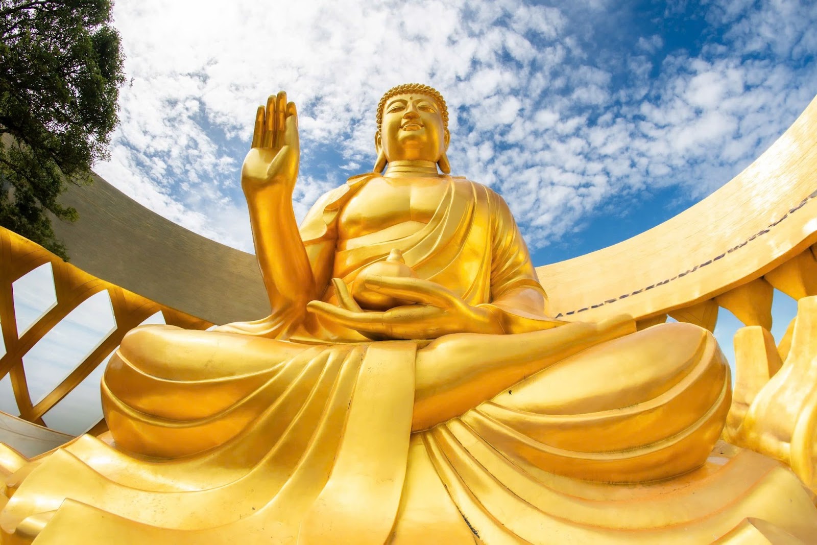 Sau khi xuất gia, Ngài Câu Na Hàm Mâu Ni trải qua một giai đoạn tu tập nghiêm khắc và khổ hạnh để thanh lọc thân tâm.