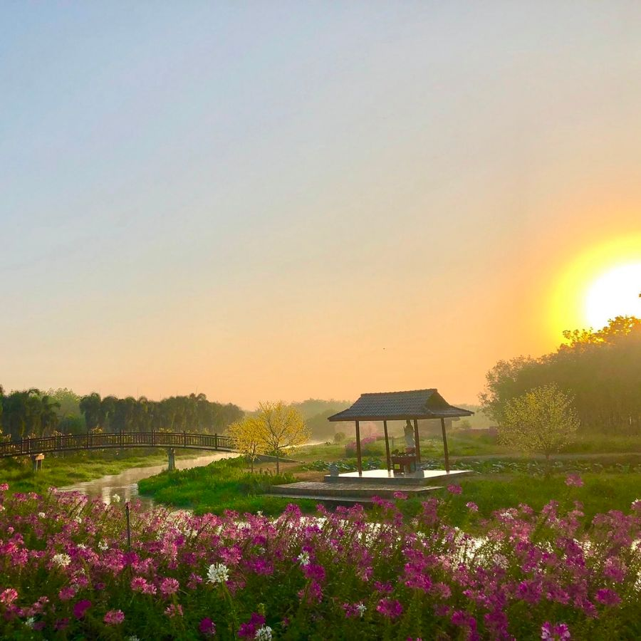 Khung cảnh thơ mộng tại Thủy Hoa Viên.