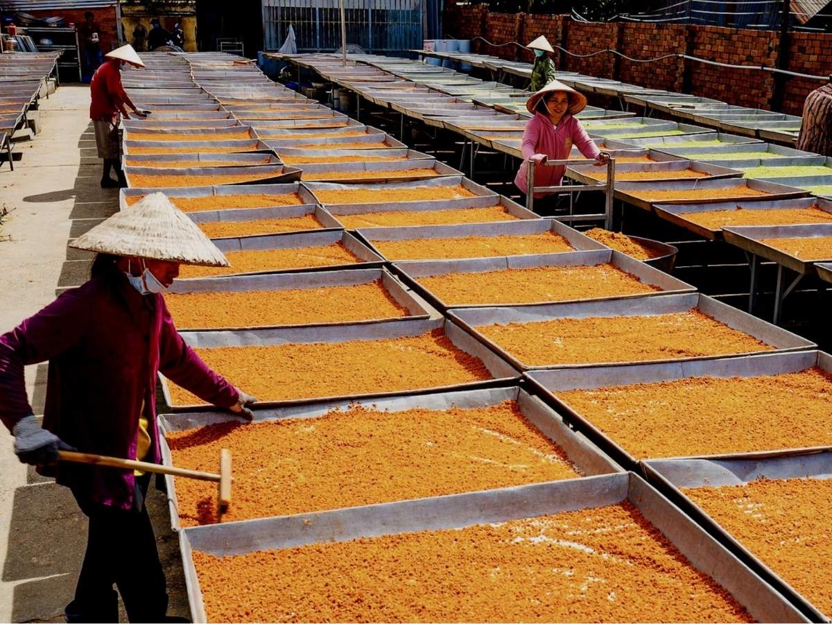 Muối tôm Tây Ninh được chế biến từ tôm tươi, muối biển cùng các gia vị truyền thống đặc trưng.