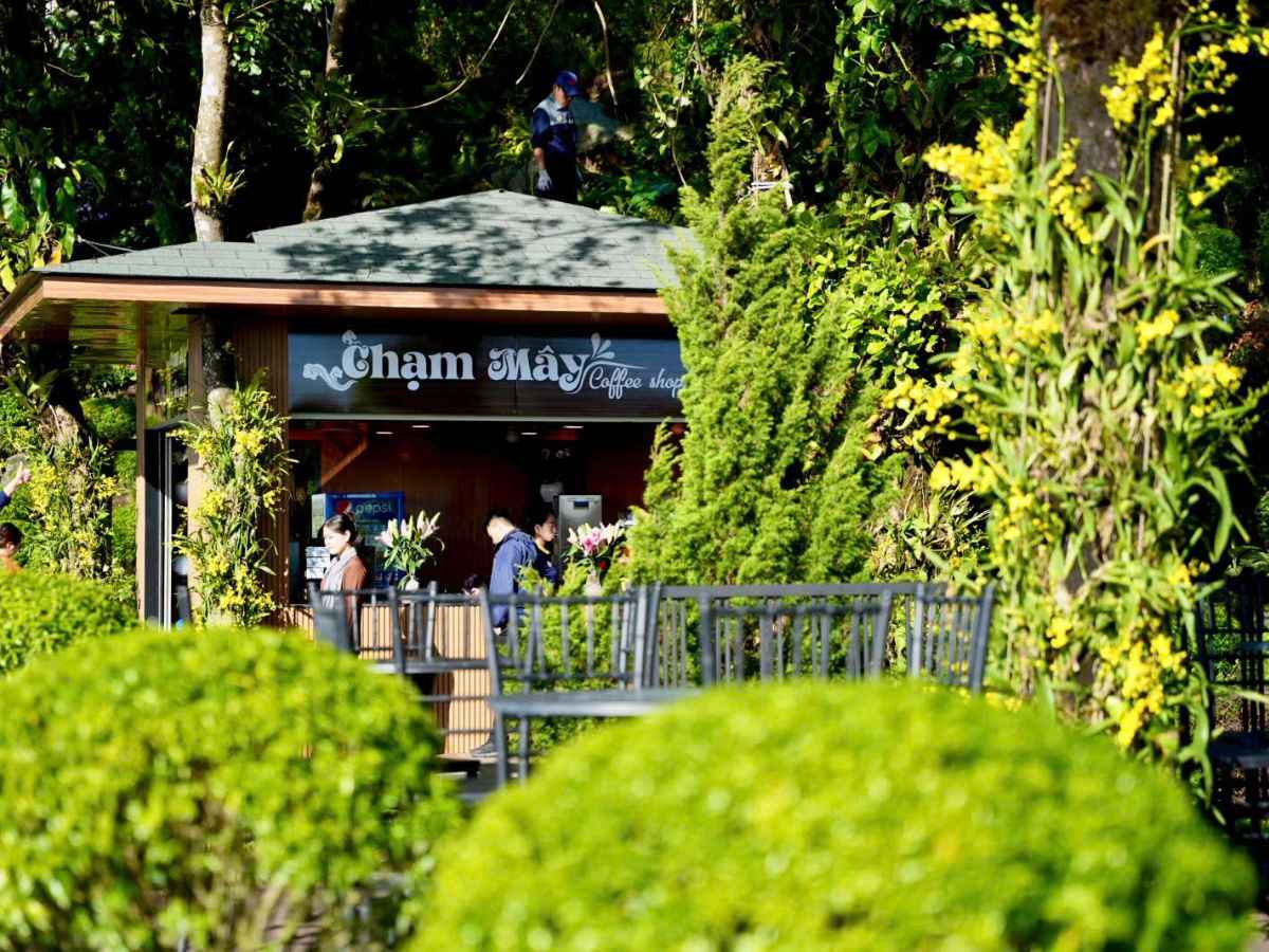 Quán Chạm Mây là điểm dừng chân xanh mát để thưởng thức cà phê. (Nguồn: Sưu tầm)&nbsp;