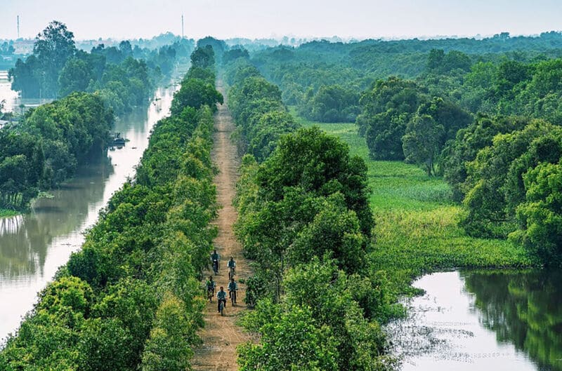 Vẻ đẹp của cánh đồng bất tận từ trên cao. (Nguồn: Sưu tầm)