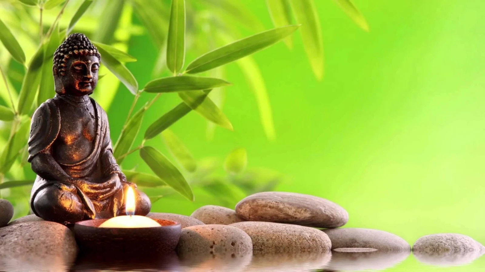 Người học nên tham khảo các nguồn học liệu chính thống. (Nguồn: Sưu tầm)