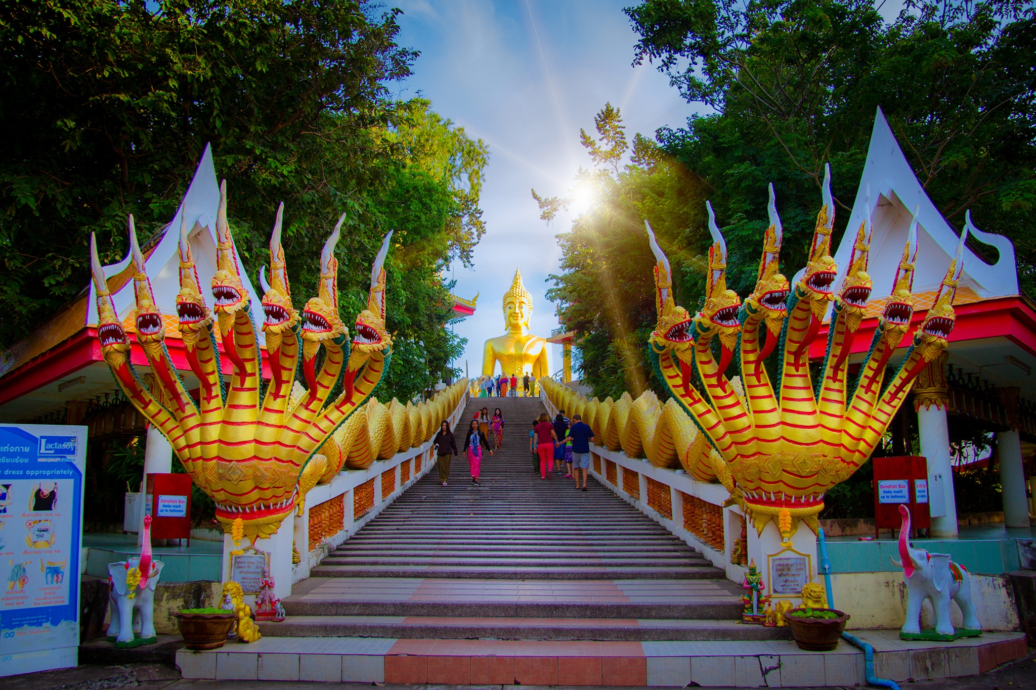 Như như bất động giữa dòng đời biến động, giữ tâm an nhiên và vững chãi trước mọi đổi thay. (Nguồn: Sưu tầm)