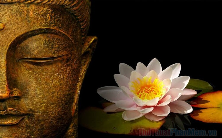 Thiền giả trải nghiệm như như bất động giúp tâm an và sáng giữa đời. (Nguồn: Sưu tầm)