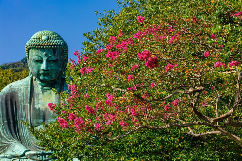 Thiền quán và chánh niệm giúp nhận biết như như bất động, giữ tâm an trước mọi biến đổi. (Nguồn: Sưu tầm)