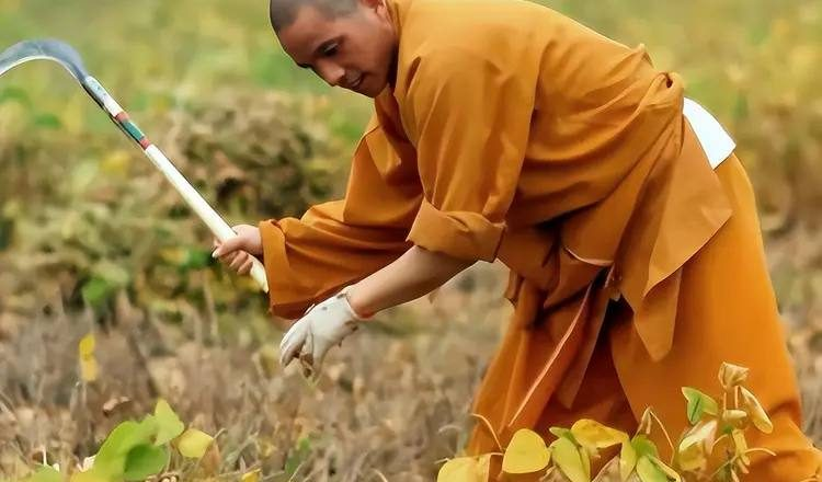 Doanh nghiệp đề cao đóng góp thực chất và trách nhiệm cá nhân. (Nguồn: Sưu tầm)
