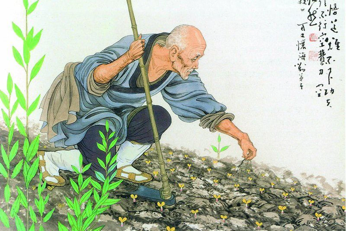Dù ngoài tám mươi, Thiền sư Bách Trượng vẫn lao tác mỗi ngày. (Nguồn: Sưu tầm)