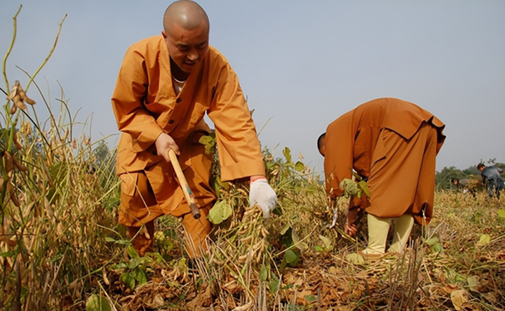 Lao động tự túc phù hợp với mô hình tu viện tại Trung Hoa. (Nguồn: Sưu tầm)