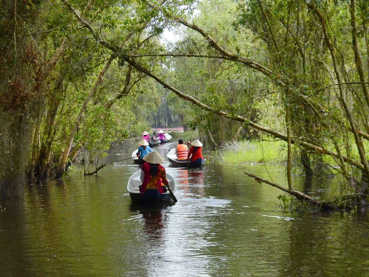 Du khách đi xuồng giữa rừng tràm xanh ở Làng nổi Tân Lập.