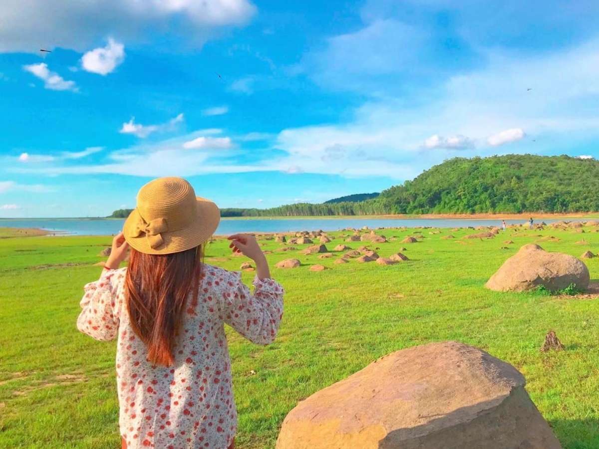 Đồng cỏ xanh ven Hồ Dầu Tiếng với khung cảnh thiên nhiên rộng mở phù hợp chụp ảnh dã ngoại. (Nguồn: Sưu tầm)