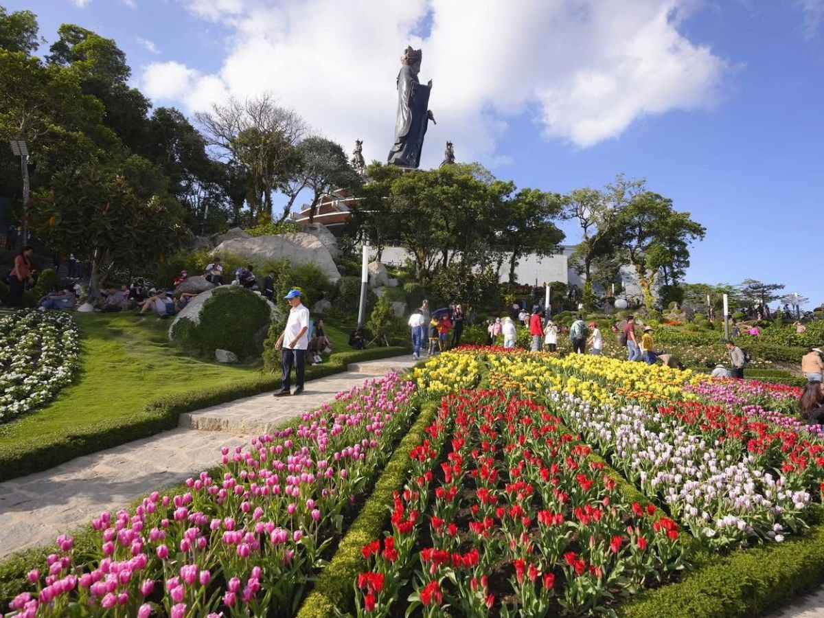 Vườn hoa tulip rực rỡ dưới tượng Phật Bà Tây Bổ Đà Sơn. 