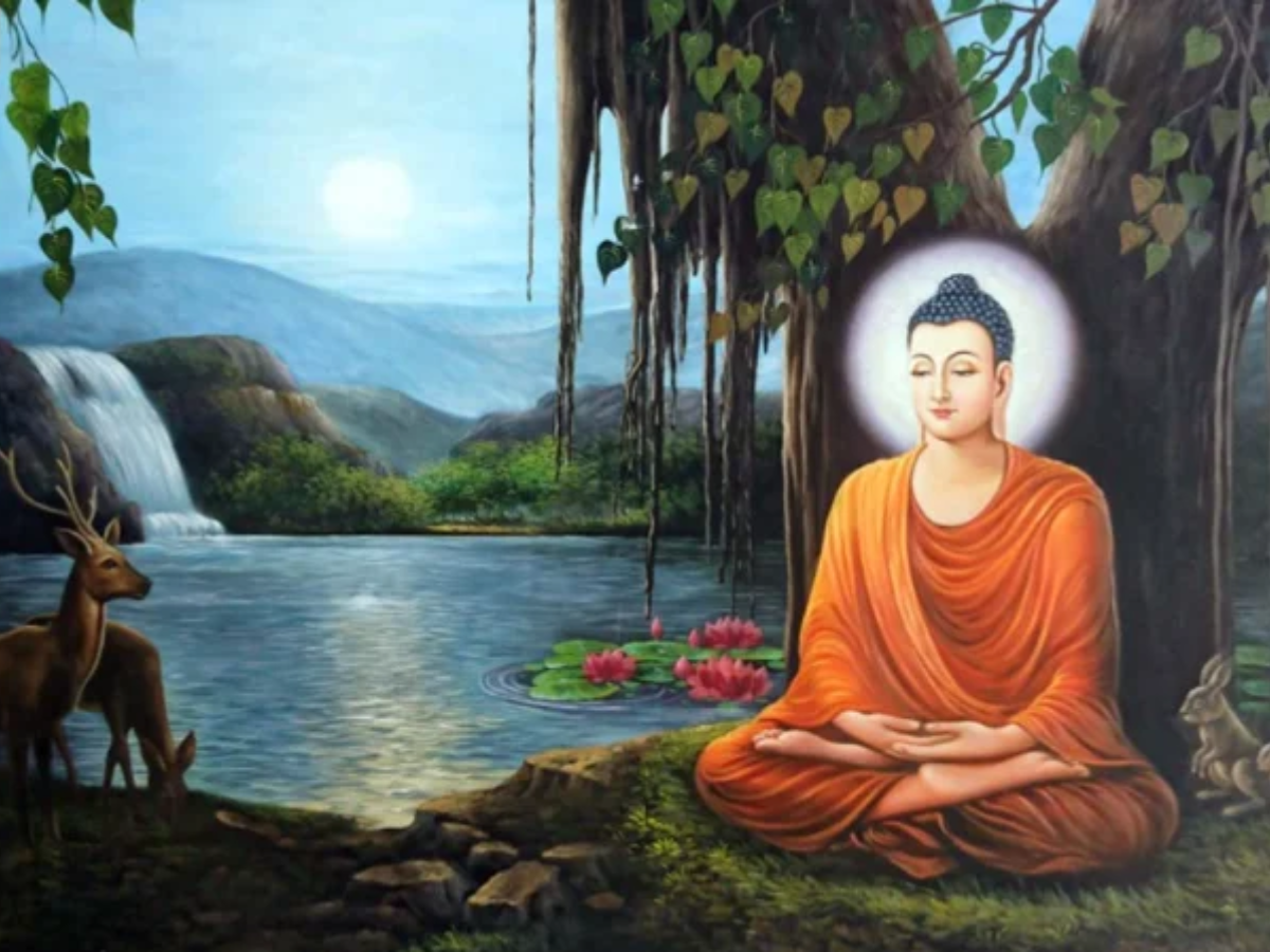 Không gian thiền định hoặc người học Phật đọc kinh trong khung cảnh thanh tịnH