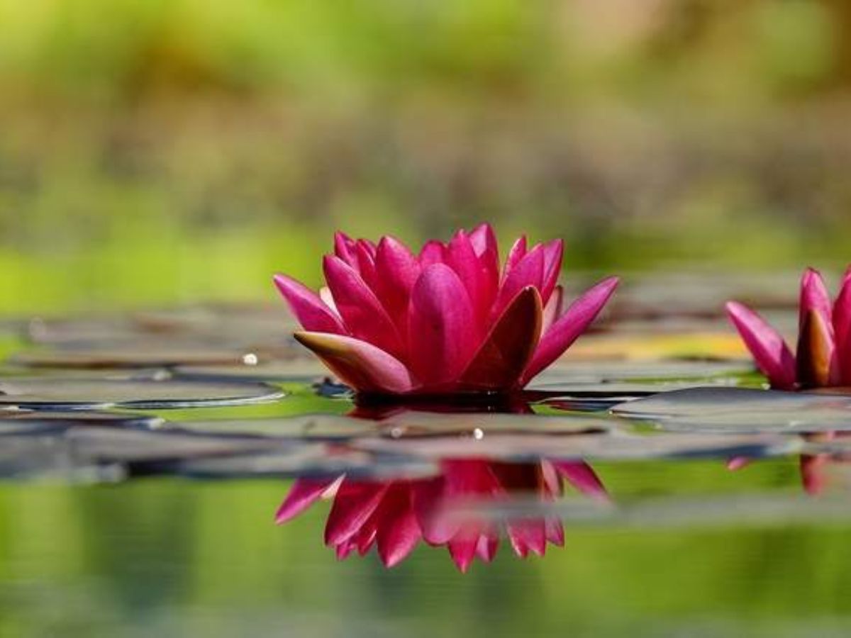 Bắt đầu ngày mới bằng những điều đơn giản.