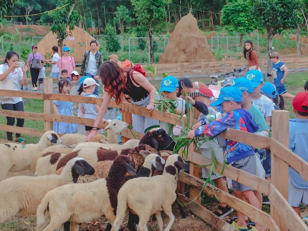 Hoạt động trải nghiệm trồng rau và chăm sóc vật nuôi tại nông trại Green Noen.