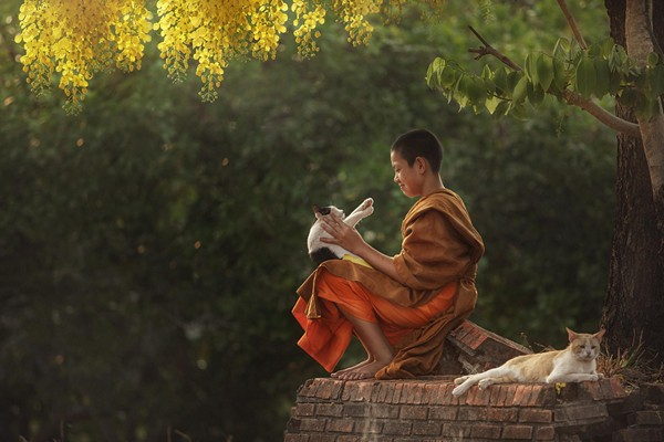 Đây là cảnh giới cao nhất của thập địa bồ tát.