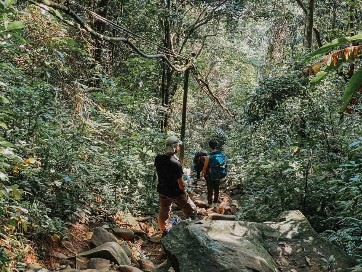 Lối trekking trên Núi Bà Đen đưa du khách qua những đoạn đá dưới tán rừng. 