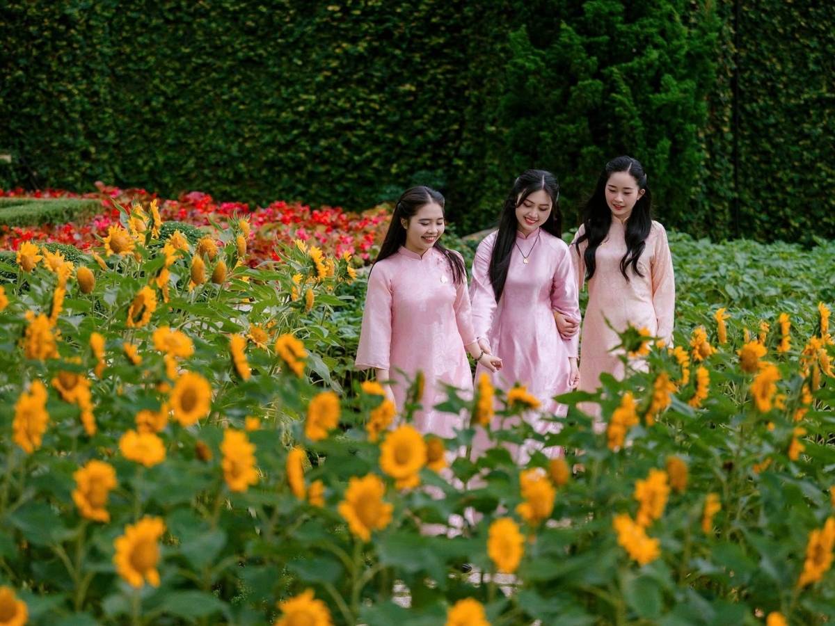 Du khách lưu lại khoảnh khắc đẹp giữa vườn hoa trên Núi Bà Đen.